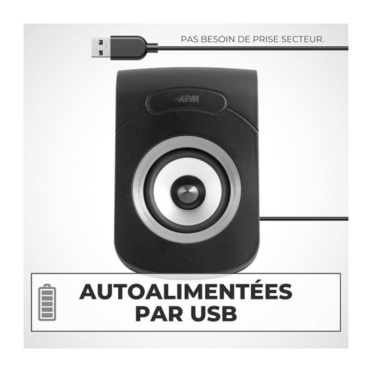 Enceinte APM filaire USB 2.0