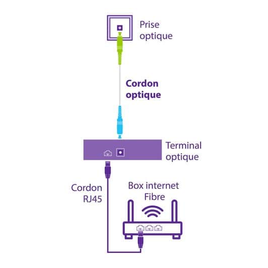 Fibre optique SEDEA 10M