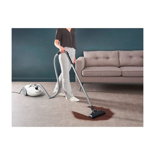 Aspirateur avec sac ROWENTA RO3967EA