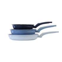 Lot de poêles 20 24 28 cm carbonsteel