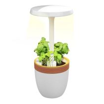 POTAGER D’INTÉRIEUR