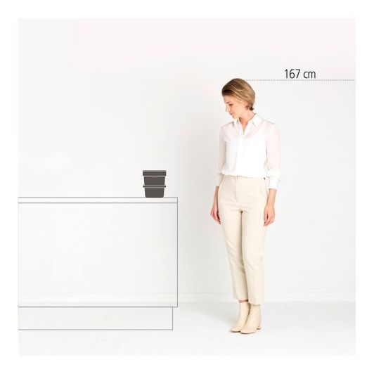 Vuilbak BRABANTIA Sort&go 6L grijs