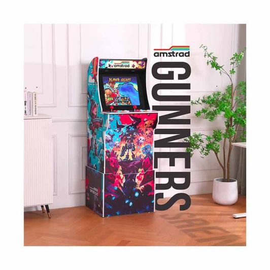 Borne Arcade AMS-RETROGAMING GUNNERS