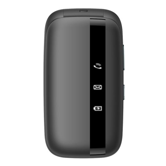Mobiel DANEW K42 4G Zwart