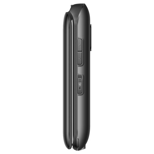 Mobiel DANEW K42 4G Zwart