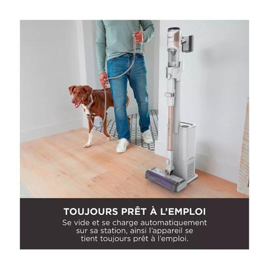 Aspirateur Balai SHARK IW3612EU
