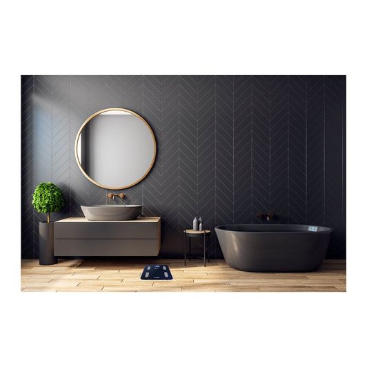 Pèse-personne électronique TERRAILLON FIT COACH wifi