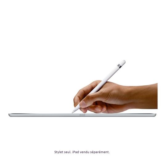 Stylus APPLE 1ste generatie