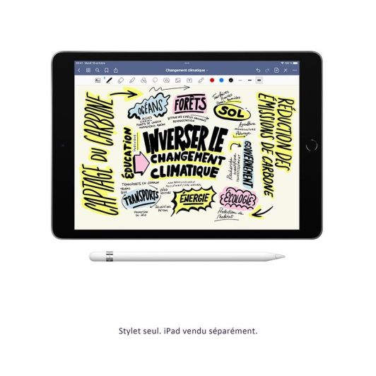 Stylus APPLE 1ste generatie