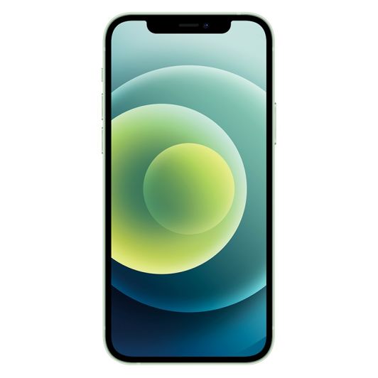 APPLE iPhone 12 Mini 64Go VERT reconditionné Grade ECO 