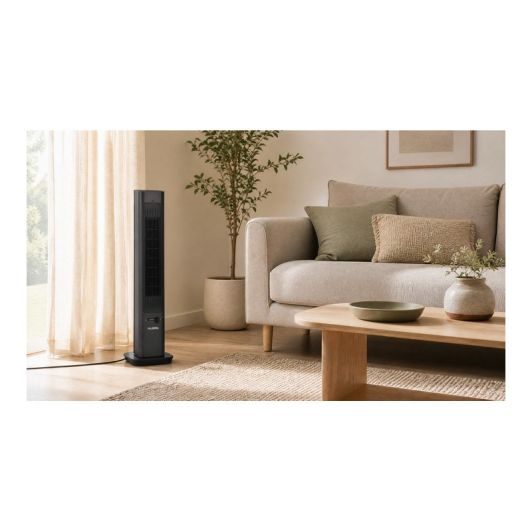 Ventilateur + Chauffage VALBERG 2IN1