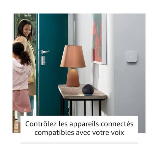 Speaker AMAZON Echo Dot 5e generatie antraciet