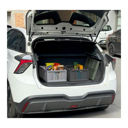 Opvouwbare Opbergkrat 40L