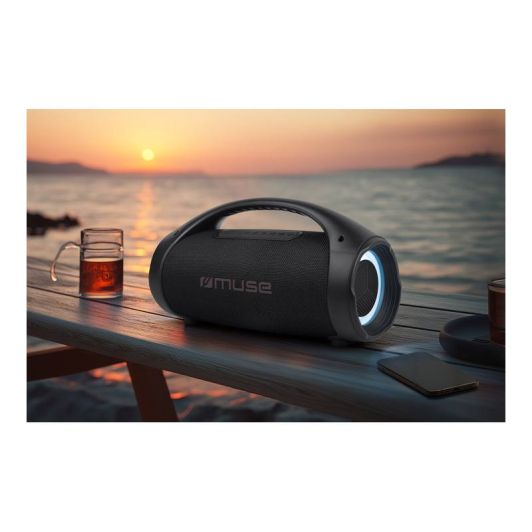 Enceinte MUSE M-910 BT