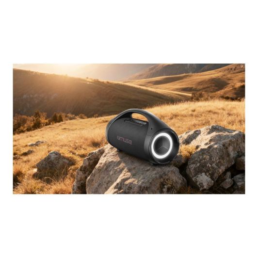 Enceinte MUSE M-910 BT