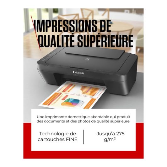 CANON PIXMA MG2556S All-in-one Printer - Compact - Zonder wifi